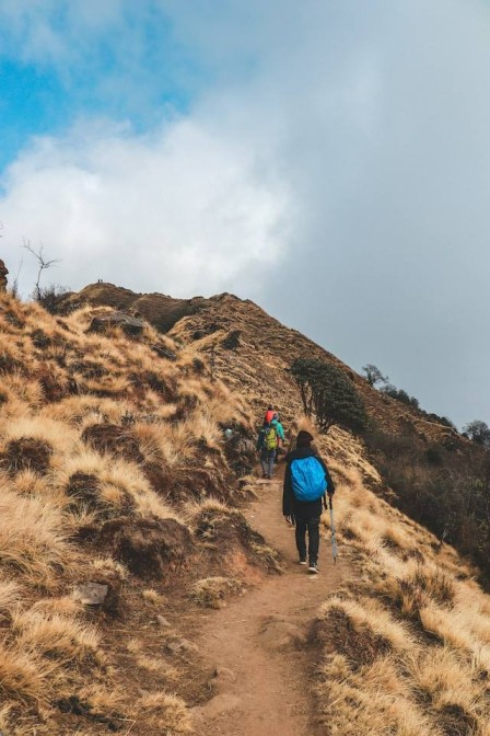 Trekking & Hiking